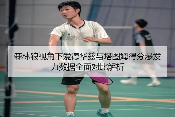 森林狼视角下爱德华兹与塔图姆得分爆发力数据全面对比解析